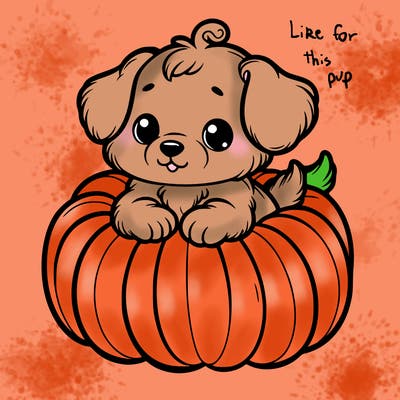 cute little puppy in a pumpkin
