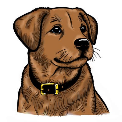 dog realistic
