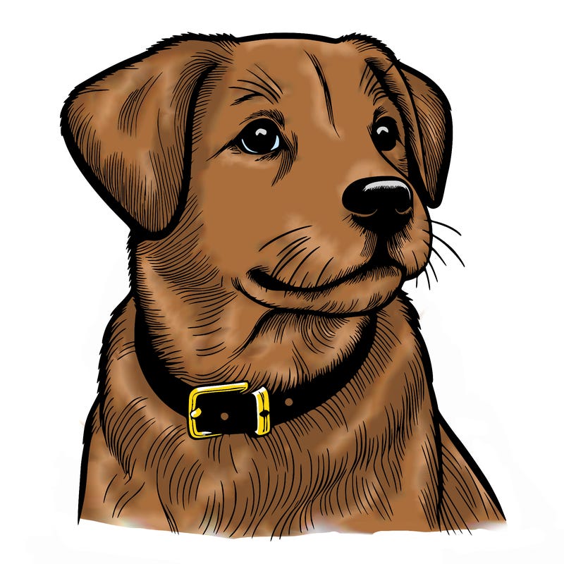 dog realistic