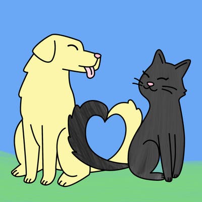 animals_22