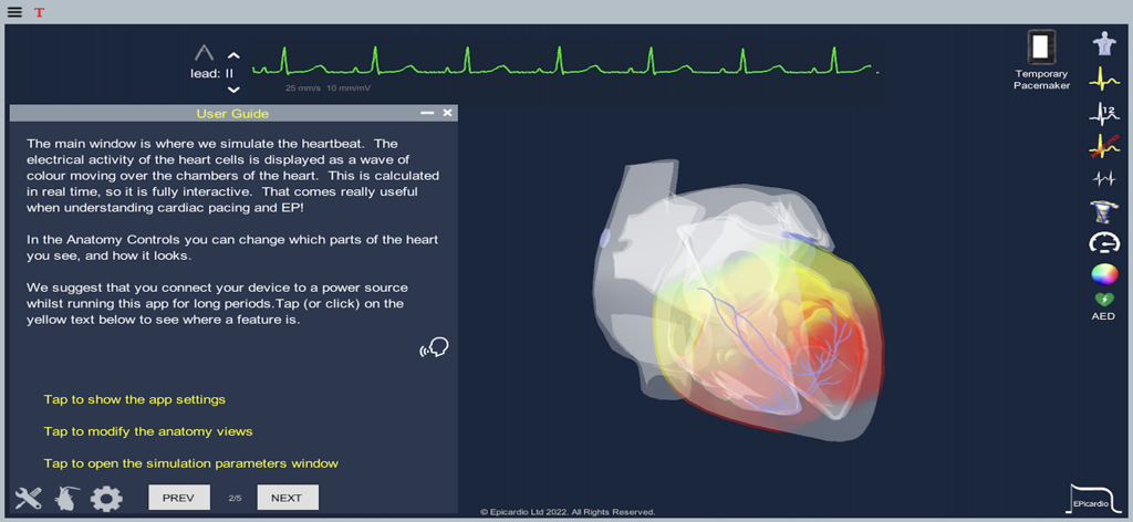 Heart Simulator - Heart Simulator app user guide with 3D heart anatomy and live ECG display