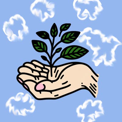 hand with plant