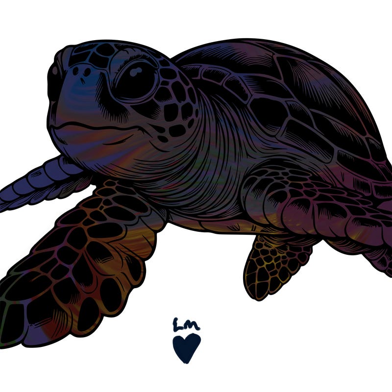 realistic sea turtle