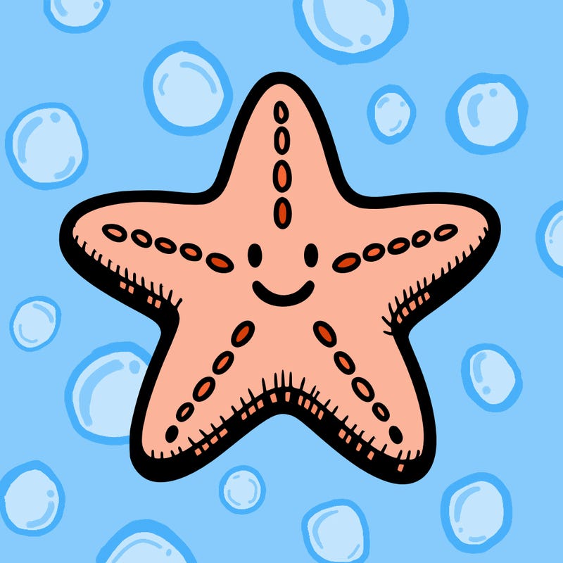 starfish