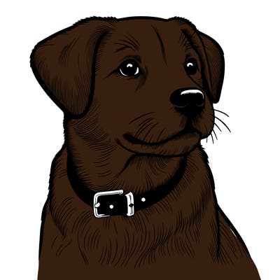 dog realistic