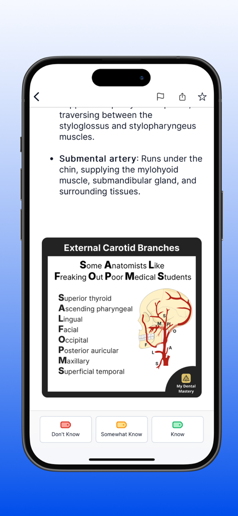 Dental anatomy flashcard with a mnemonic for external carotid artery branches.