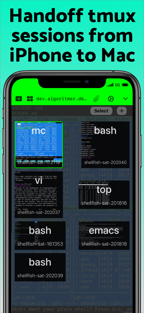 SSH Client - Secure ShellFish - Secure ShellFish app showing tmux sessions and terminal previews on an iPhone.