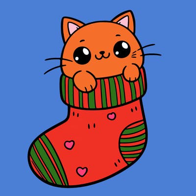 cute cat in a sock