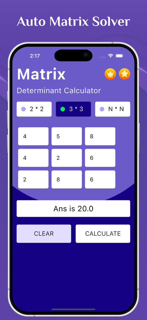 Matrix Determinant Calculator app interface showing a 3x3 matrix calculation with result