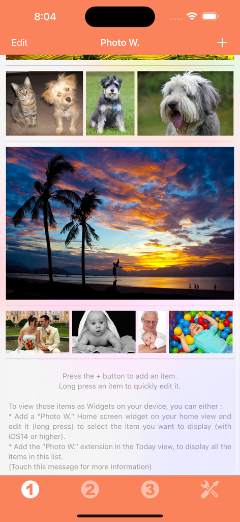 Photo Widget - Oberfläche der Foto Widget-App, die Raster von Fotos zeigt, einschließlich Haustieren, Familie und Landschaften, mit Navigationssteuerelementen