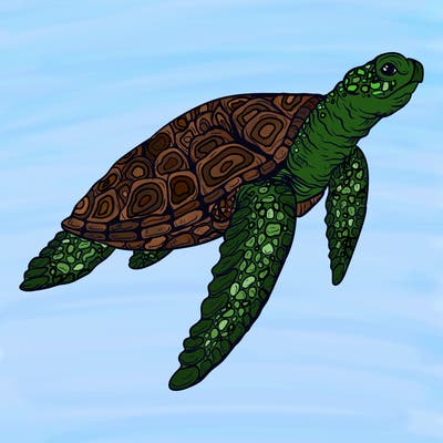 sea_life_03_new