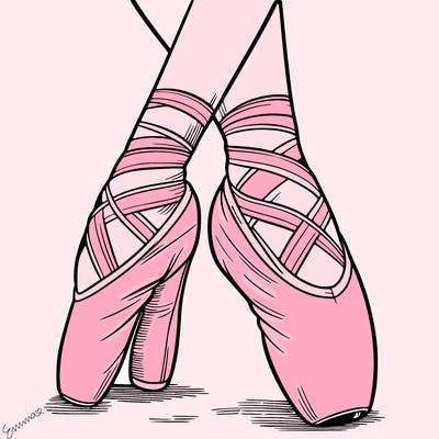ballet shoes