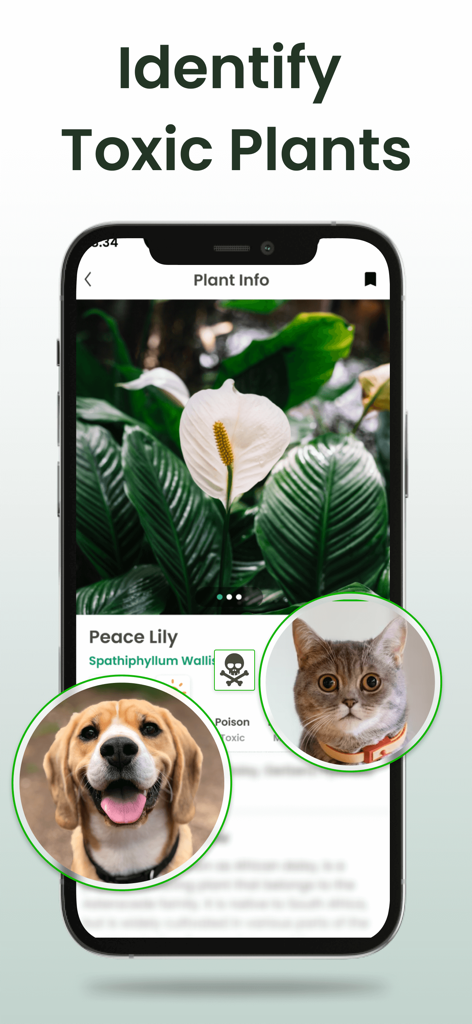 Plant Identifier: Plantiary - モバイルアプリの画面が、犬と猫に対するペットの毒性に関する警告とともに、スパティフィラムの識別を示しています。