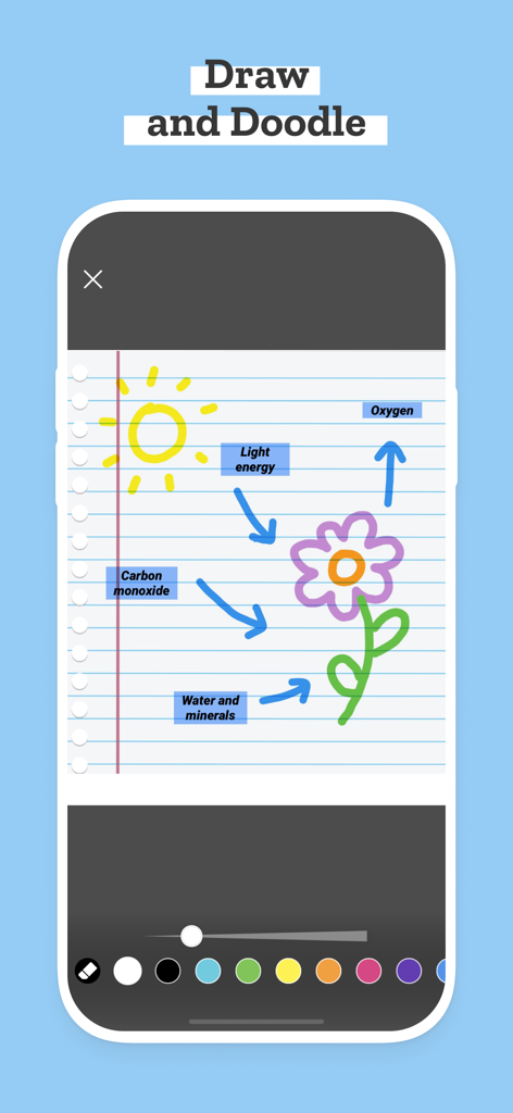 Digital drawing of a photosynthesis diagram with labels for a school science project using the PicCollage EDU doodle tool.