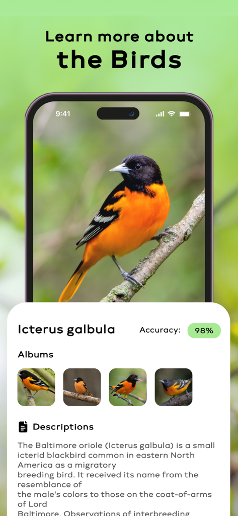 Schermata dello smartphone che mostra i risultati dell'identificazione di un rigogolo di Baltimora