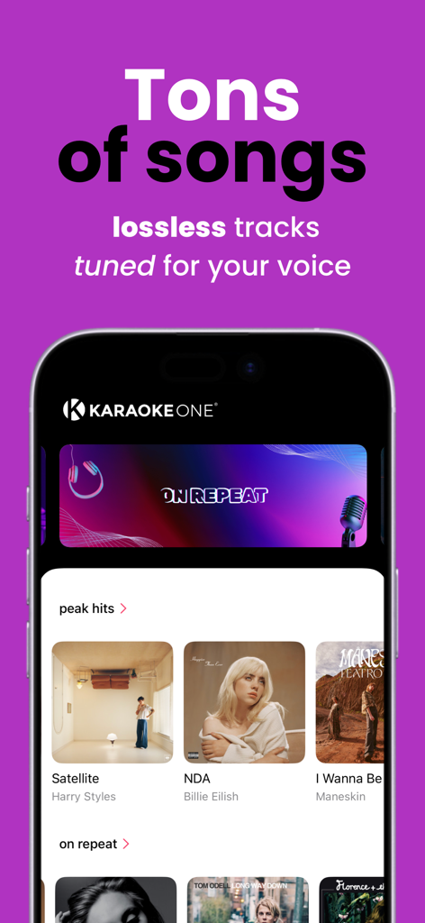Karaoke One - Karaoke One app interface displaying a library of lossless tracks and popular hits