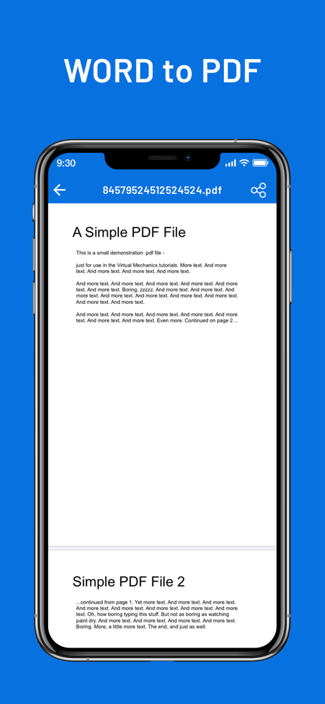 Word to PDF converter app showing a document on an iPhone screen