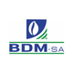 BDM-PI