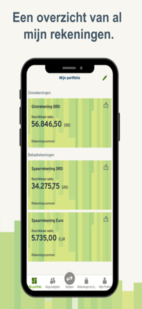 Dashboard dell'app DSB Mobile Banking che mostra i saldi dei conti in diverse valute.