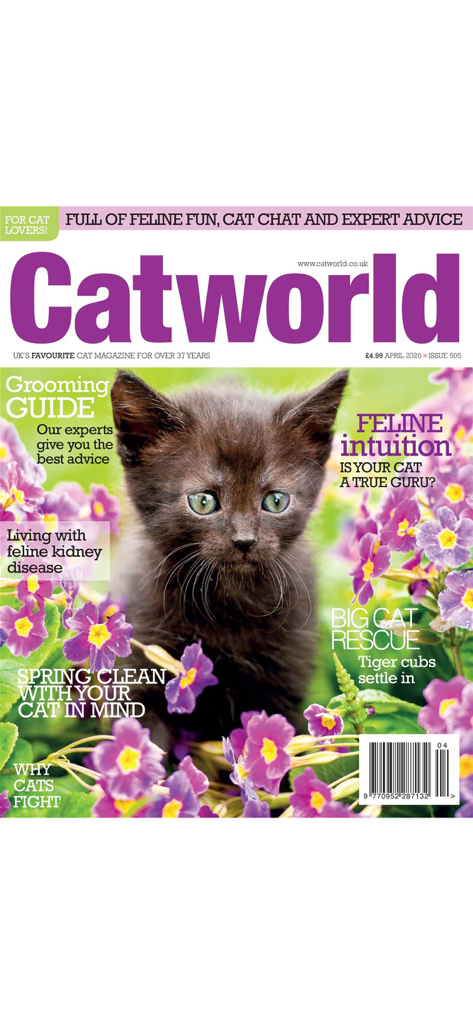Catworld Magazine - Portada de la revista Catworld con un gatito negro sentado entre flores moradas.