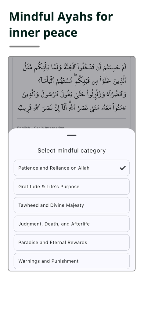 Quran - Ayah Finder - Quran Ayah Finder app menu showing mindful categories like patience and gratitude for inner peace