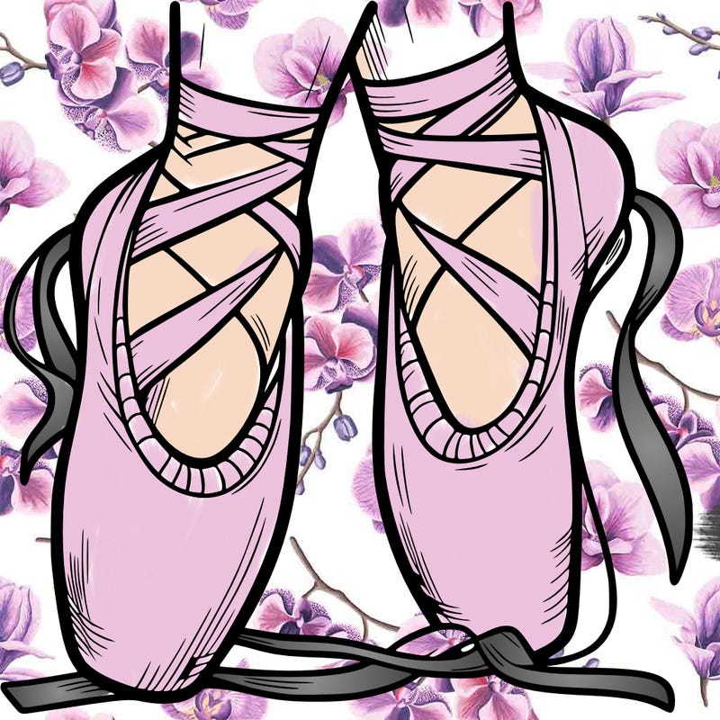 ballet shoes
