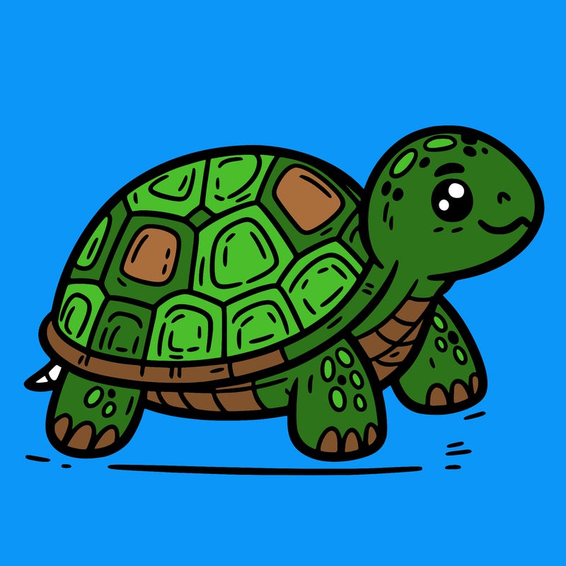 turtle