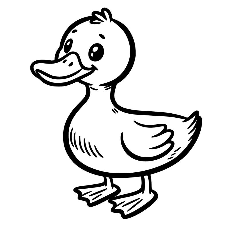 duck
