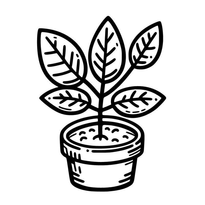 plant