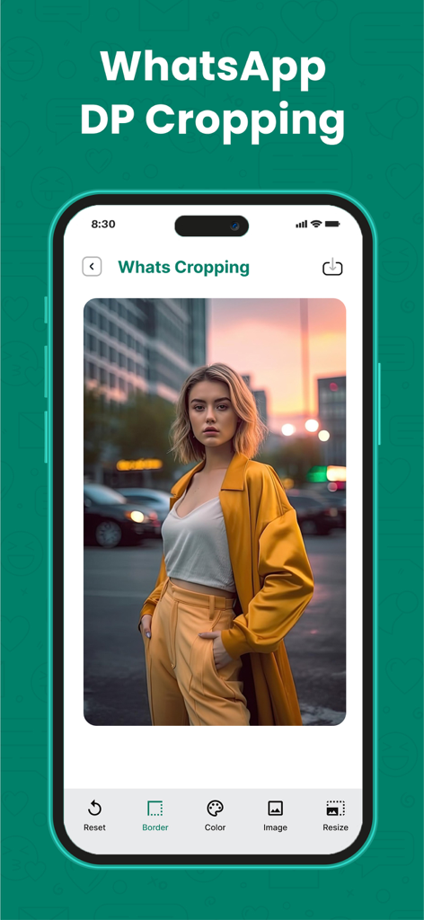WT Web - Dual Chat - Interfaz mostrando la herramienta de recorte de DP de WhatsApp en un dispositivo móvil