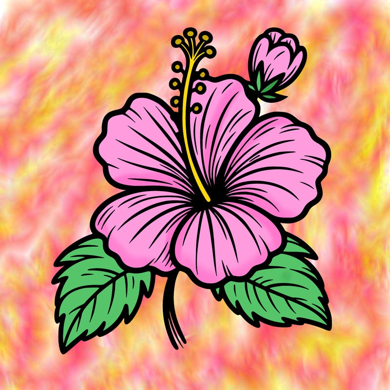 hibiscus flower