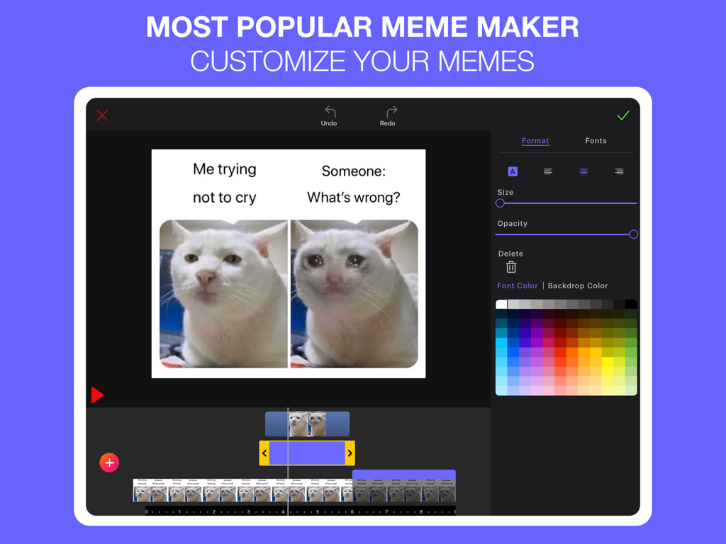 A meme editor interface on iPad showing tools to customize a crying cat video meme