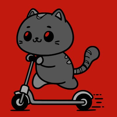 a cat scootering