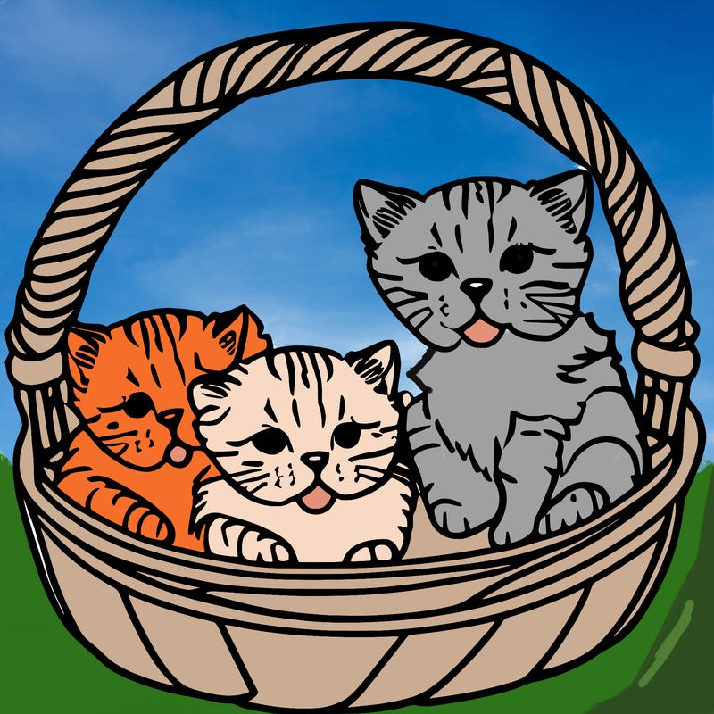 kittens in a basket