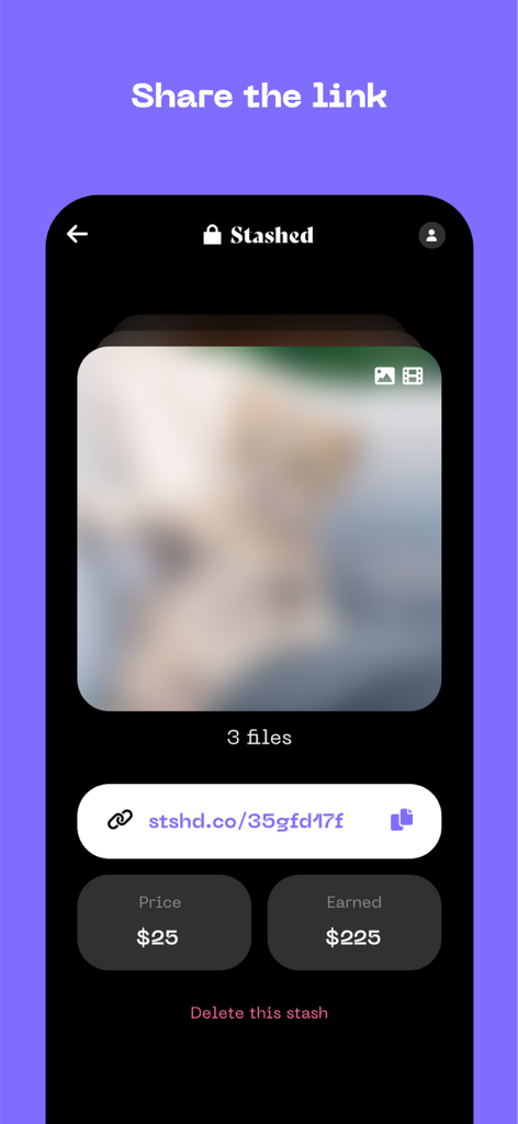 Stashed - Sell Private Files - Stashedアプリ画面に、価格と収益合計の概要が表示されたデジタルファイル用の共有可能な支払いリンクが表示されています。