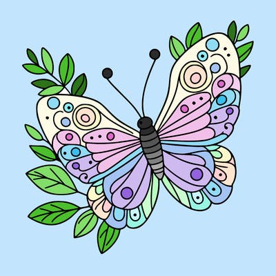 butterfly