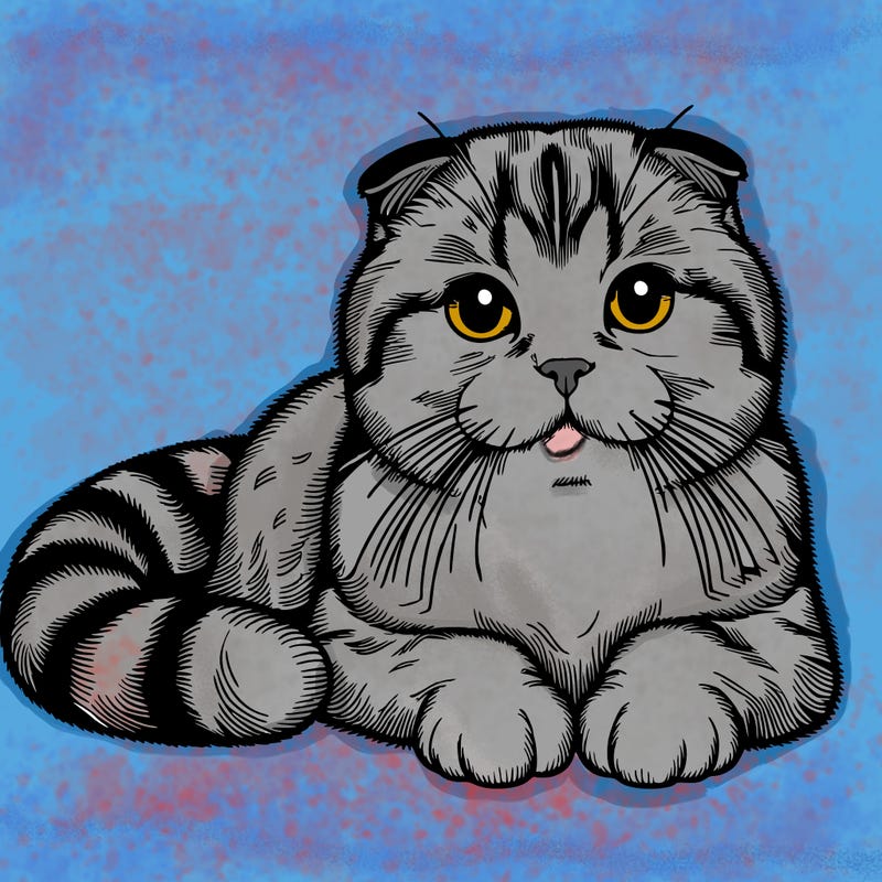 realistic   scottish  fold cat