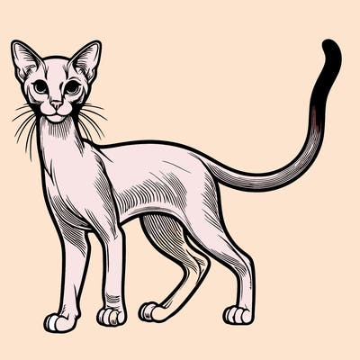 realistic slender cat