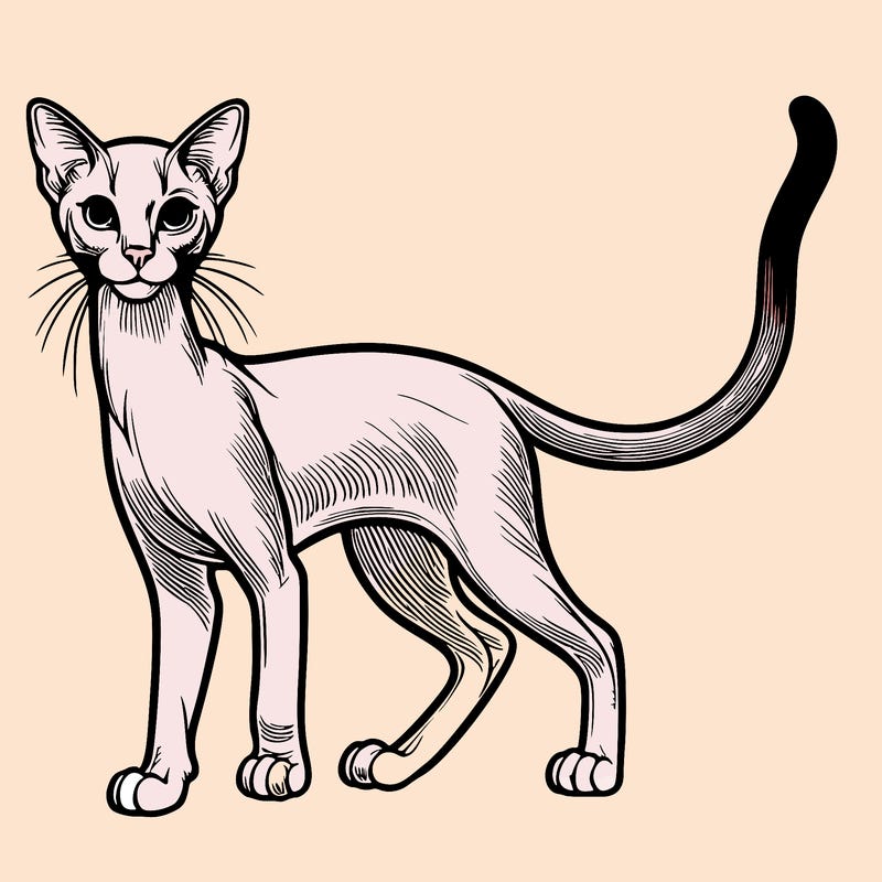 realistic slender cat