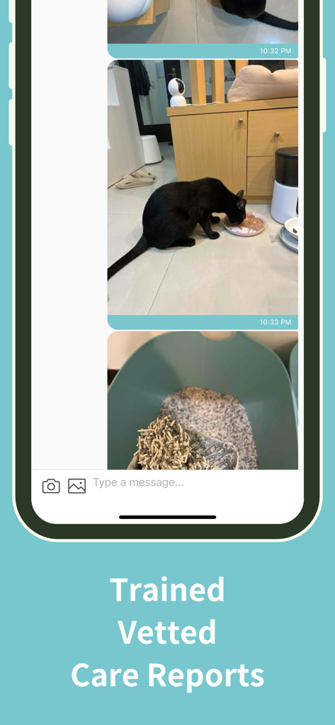 Fluv - Find Trusted Pet Sitter - Interface do aplicativo Fluv mostrando atualizações diárias por foto e relatórios de cuidados para um gato de estimação.