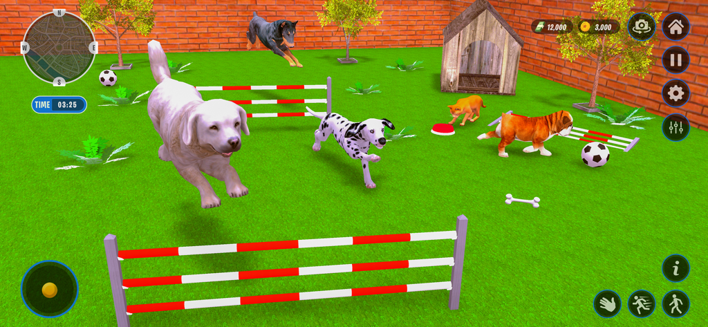 Animal Shelter Pet Dog Rescue - Cani che giocano e saltano ostacoli in un'area di addestramento all'aperto di un rifugio per animali