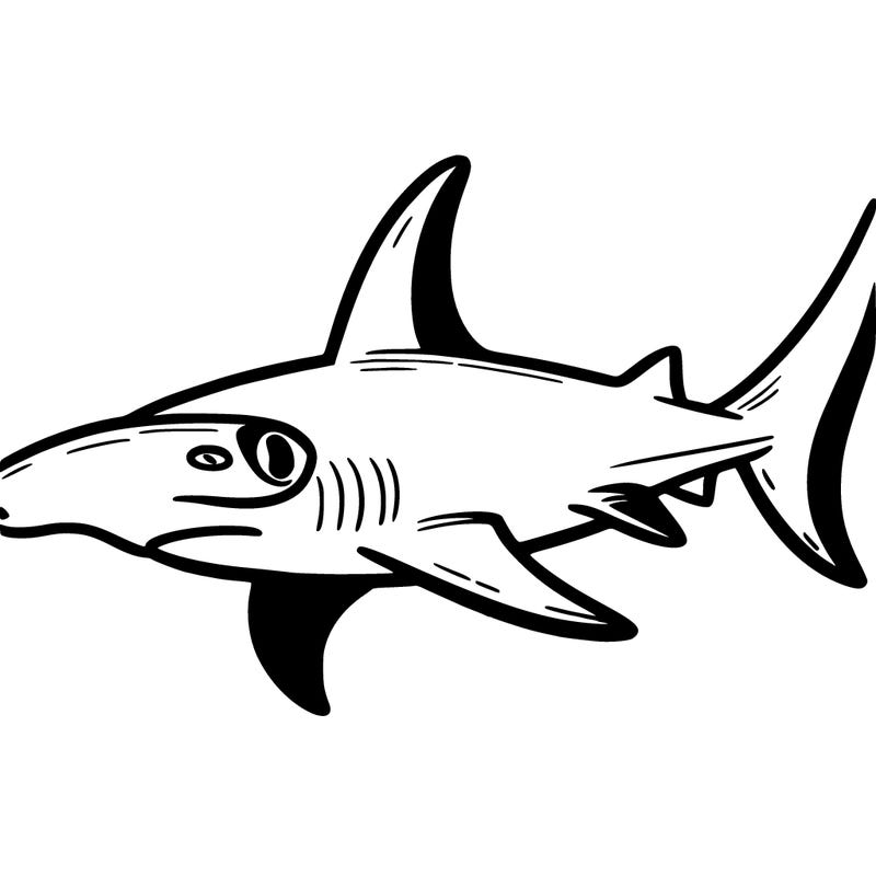 hammerhead shark
