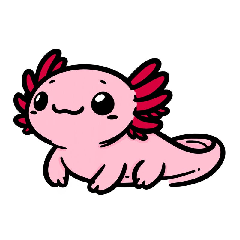 cute axolotl