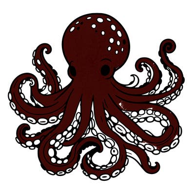 octopus