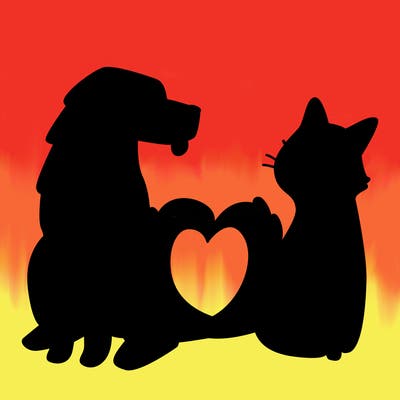 animals_22
