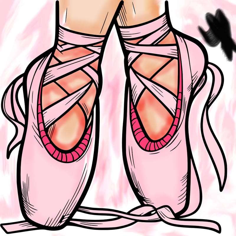 ballet shoes