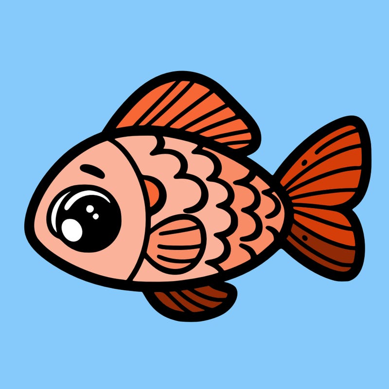 fish