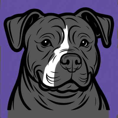 pitbull