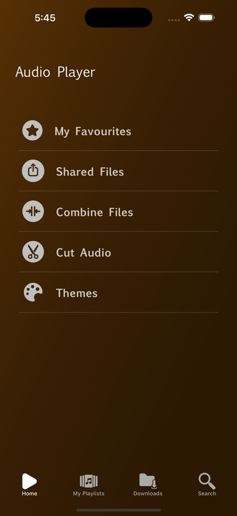 Audio Player - Play Music - Home screen of the Audio Player app showing menu options for managing and editing audio files