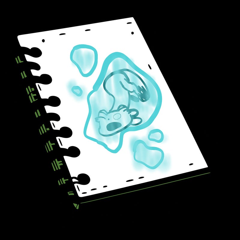 notebook